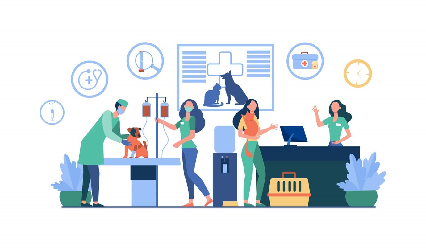 Veterinary Marketing Page