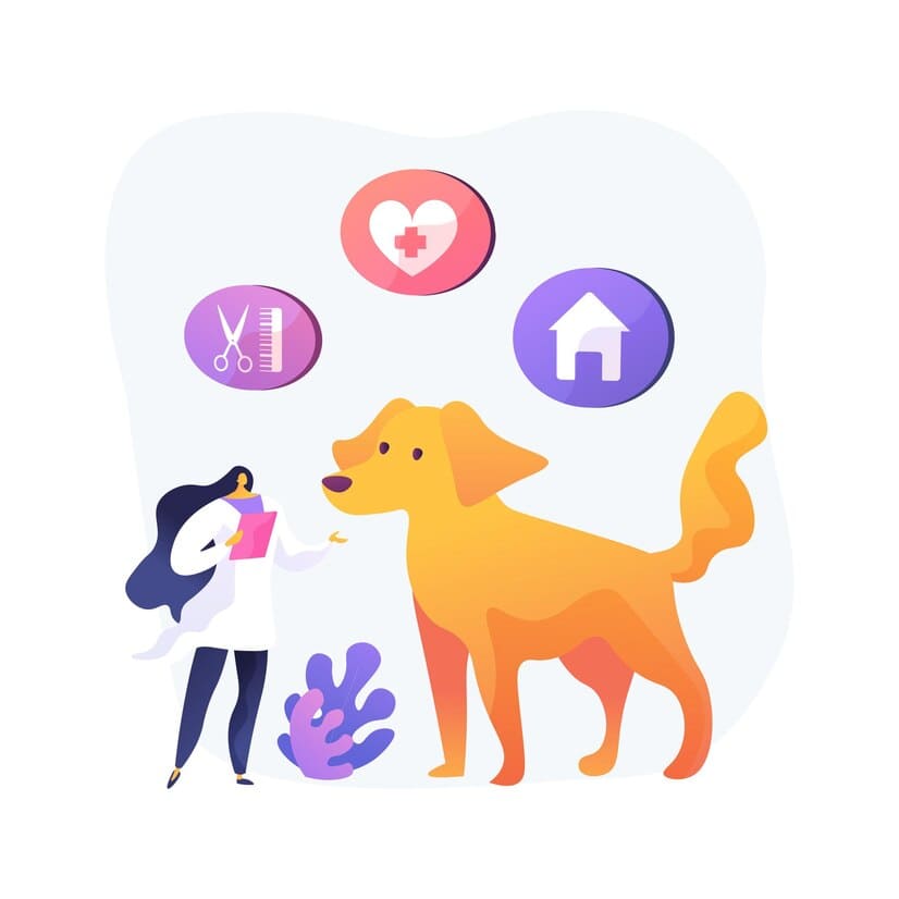 Veterinary Marketing Image